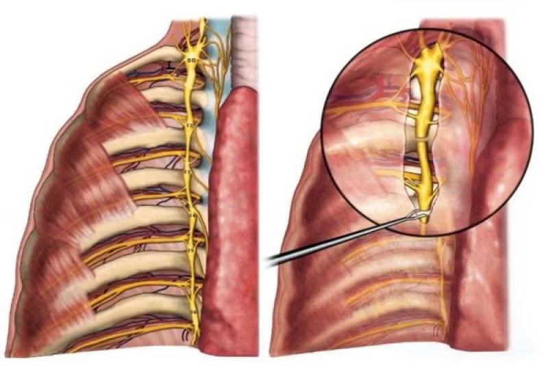 f3b88360d10dca9cce9be7d73760f5cb